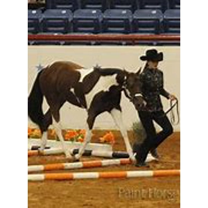 Class 32 Open In Hand Trail