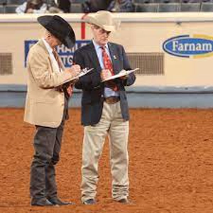 Judges Feedback Walk Only Div