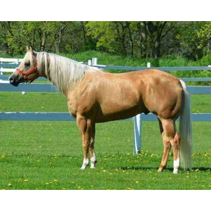 Class 31 Most Colorful Solid Colors