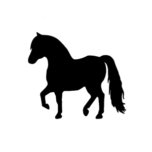 Class 58 Mini Horse Halter