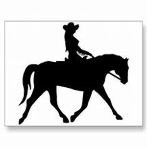 Class 34 Western Dressage Pick A test