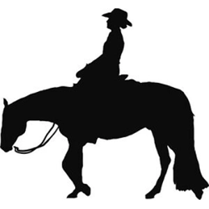 Class 14 Youth Western WJL Horsemanship