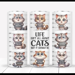 Life isn't about cats