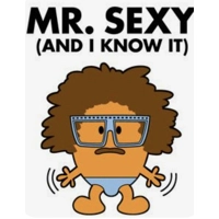 Iron on transfer tshirt,pillow,bags transfer sh..