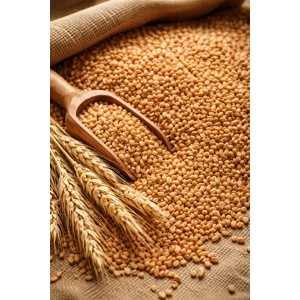 500 grams dried wheat✨ Fill ..