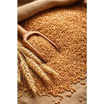 500 grams dried wheat✨ Fill your wheat bags with comfort! ✨£2.50