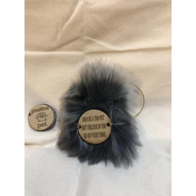 Cute little positive pet “I may be a tiny pet but I believe in you go do your thing” £2 EACH