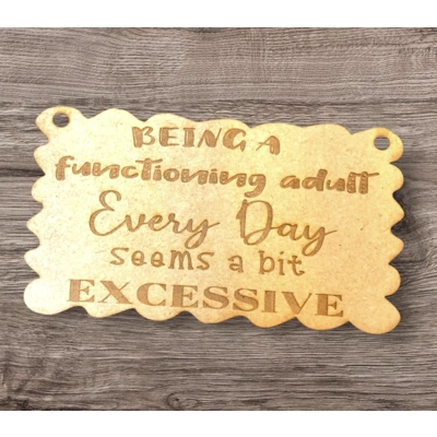 Funny MDF Wall Hanging Plaque - Only £1.50!