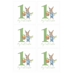 6 DESIGNS PER SHEET 40P A SHEET Beautiful Heat Transfer Su..