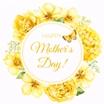 set of 3 xA4 heat transfer tshirt,transfer sublimation sheet ready to use press and go 3 sheet £1.20