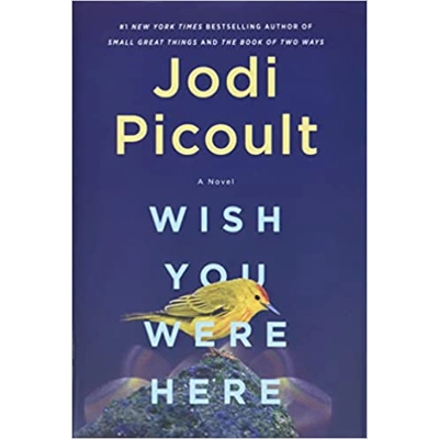 Wish You Were Here: A Novel Hardcover – Nov. 30 2021 by Jodi Picoult (Author)