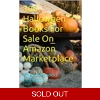 100 Halloween Book..