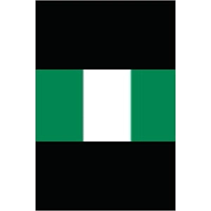 100 FLAGS OF NIGERIA Paperba..