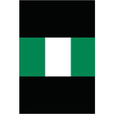 100 FLAGS OF NIGERIA Paperback – May 29 2022 by Amina Ijaz (Author)