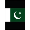 100 FLAGS OF PAKIS..