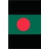 100 FLAGS OF BANGL..