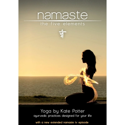 Namaste Yoga: The Five Elements Kate Potter (Actor, Host, Narrator), Erin Borgfjord (Actor)