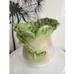 My little Pak choi