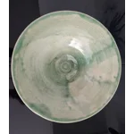 Aloe vera bowl