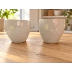 Pure White Ceramic Duo