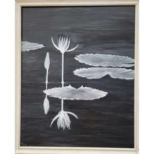 Water lily in the moonlight
