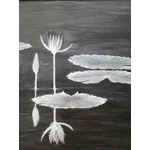 Water lily in the moonlight