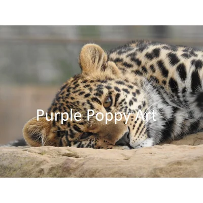 Resting