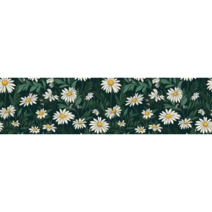 Coming up daisies