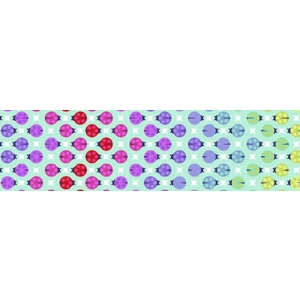 Rainbow ladybugs