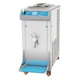 W30P Pasteurizer
