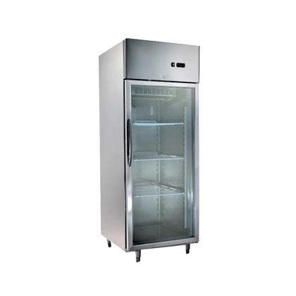 Kitchen Freezers Inox 1 Glass Door