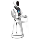 Intelligent Waiter Service Robot