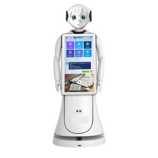 Intelligent Humanoid Ro..