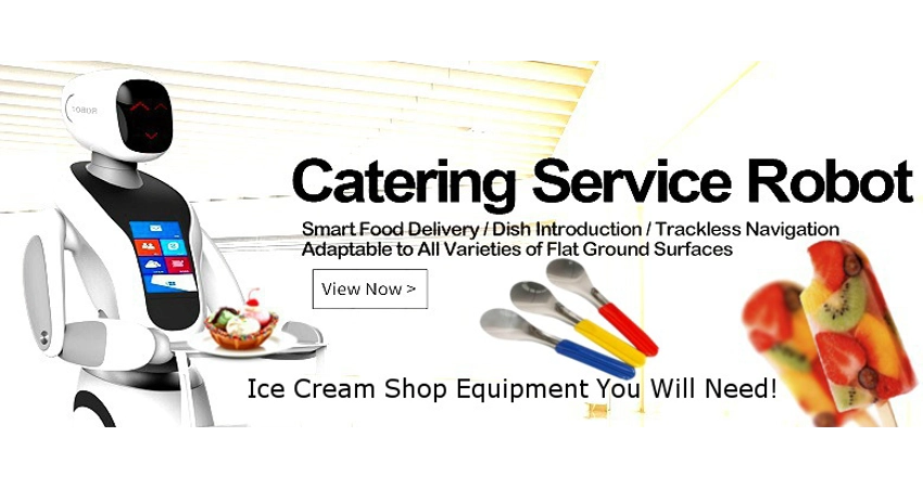 Intelligent Waiter Service Robot