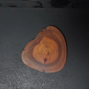 Puriri Jita #5