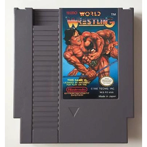 Tecmo World Wrestling - Used - NES