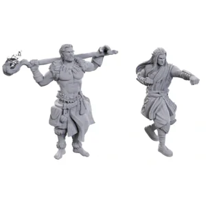 D&D Nolzur's Marvelous Unpainted Miniatures: Archdruid & Martial Arts Adept