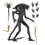 Alien Ultimate 7″ Scale Action Figure Romulus Xenomorph XX121