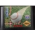 R.B.I. BASEBALL 93 - Used - Mega Drive
