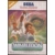 Wimbledon - Used - Master System