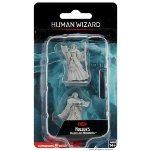 D&D Unpainted Miniatures: Human Female Wizard