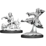 D&D Nolzur's Marvelous Unpainted Miniatures: Female Human Monk