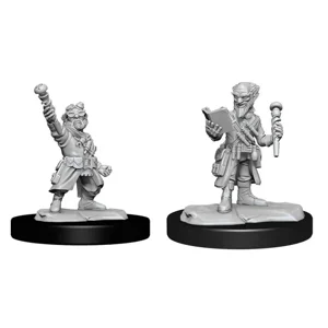 D&D Nolzur's Marvelous Miniatures: Gnome Artificer Male