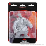 D&D Nolzur's Marvelous Unpainted Miniatures: Hill Giant