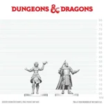 D&D Nolzur's Marvelous Unpainted Miniatures: Knight & Mage Apprentice
