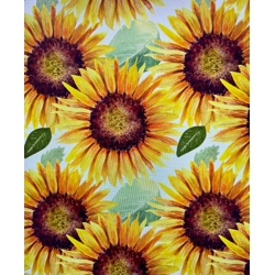 WS, SUNFLOWERS