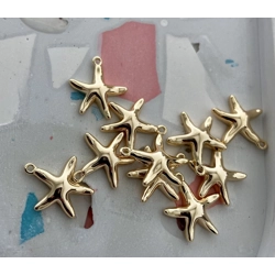 SMALL ORGANIC STAR KR GOLD CHARM PAIR