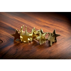 SMALL STAR STUD CONNECTOR