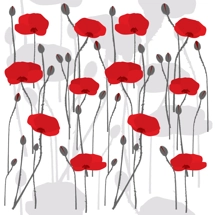 WST POPPIES 2