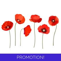WST POPPIES 4